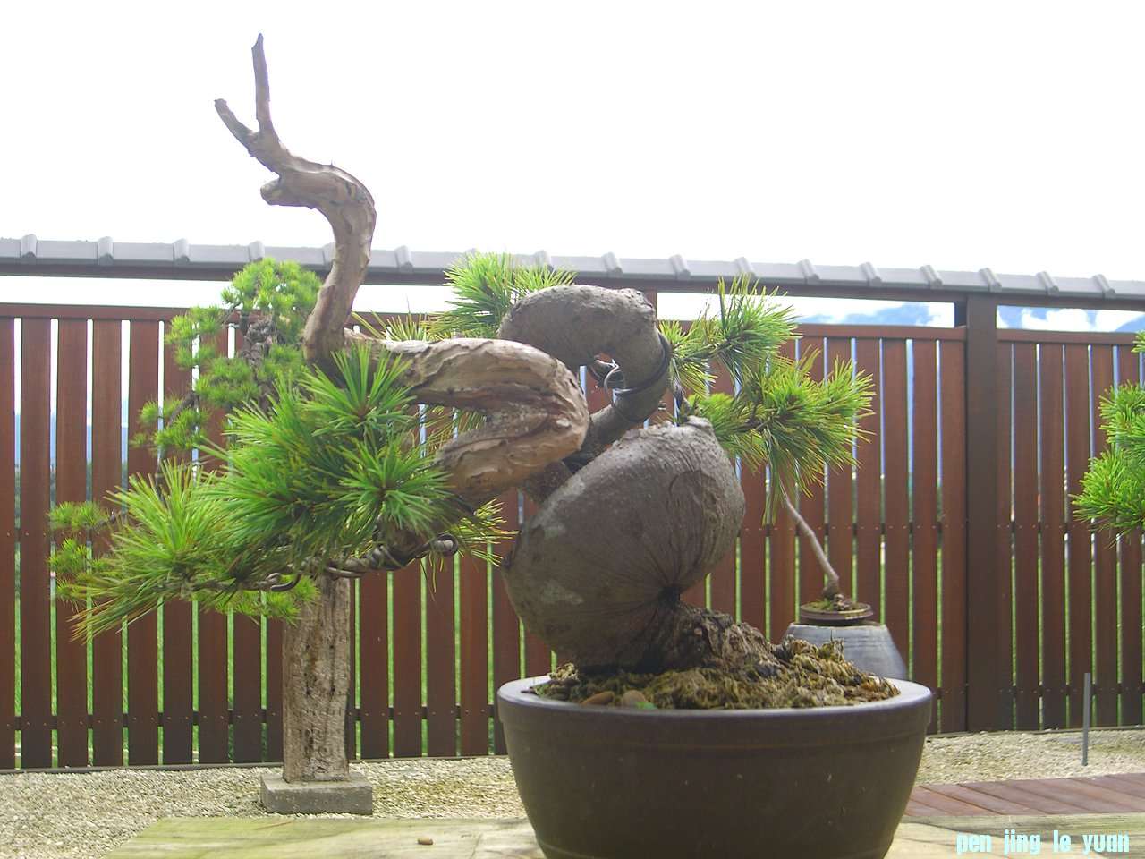 F23_20080621031754619.jpg