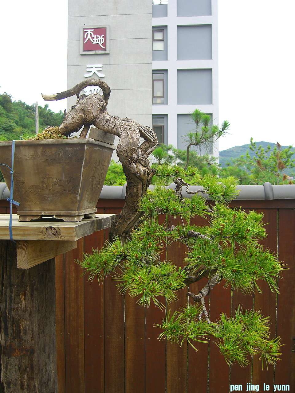 F23_20080621034819539.jpg