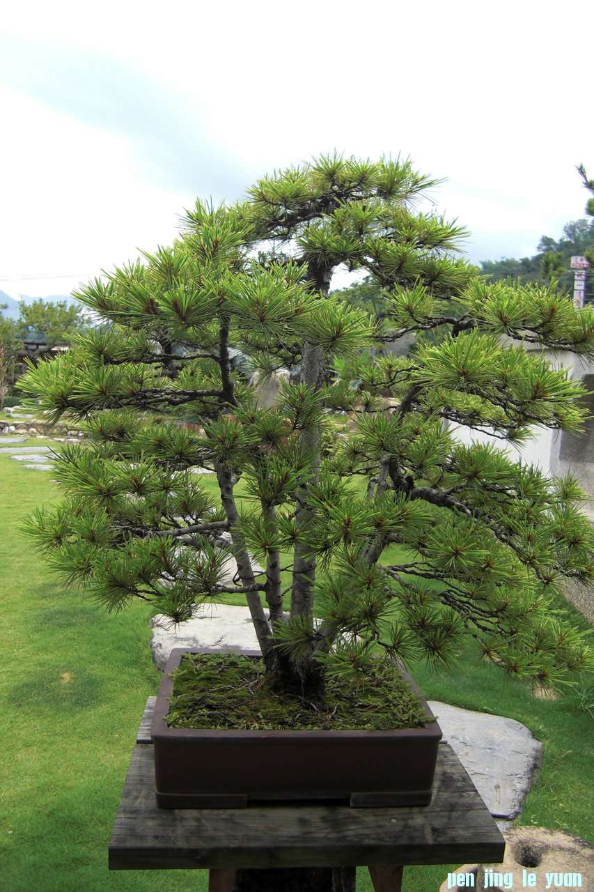 F23_20090615095403693.jpg