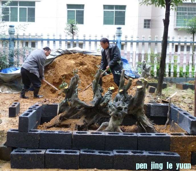 Ŵ4.jpg