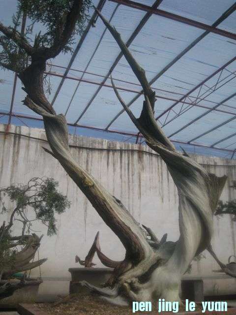 80.jpg