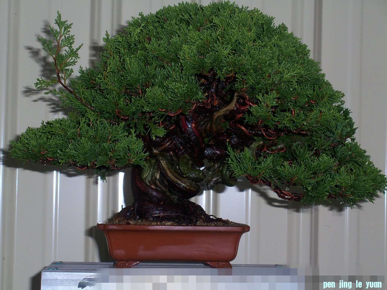 F23_20110320104141752_conew1.jpg