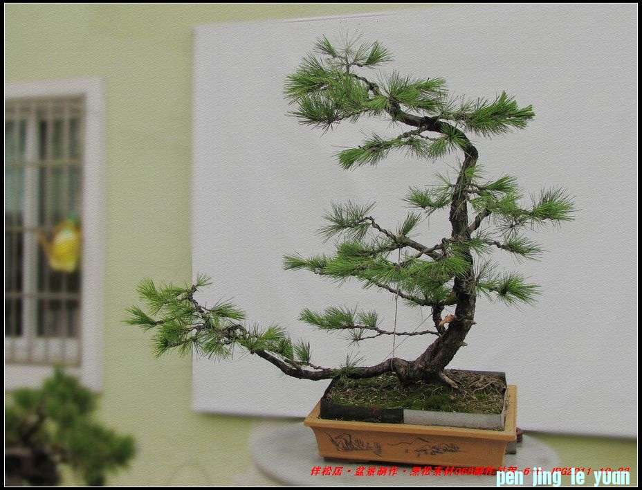 ɾӡ辰ز068-6-2_nEO_IMG.jpg