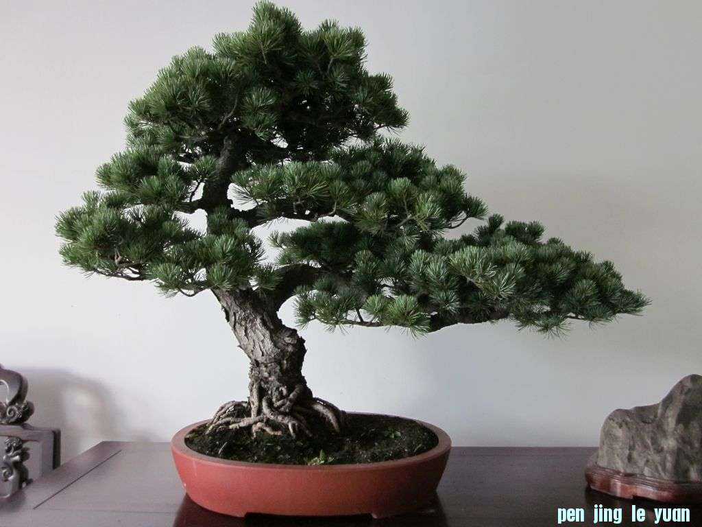Ƭ 064.jpg
