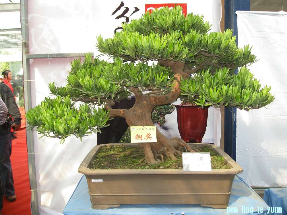 Ƭ 009.jpg