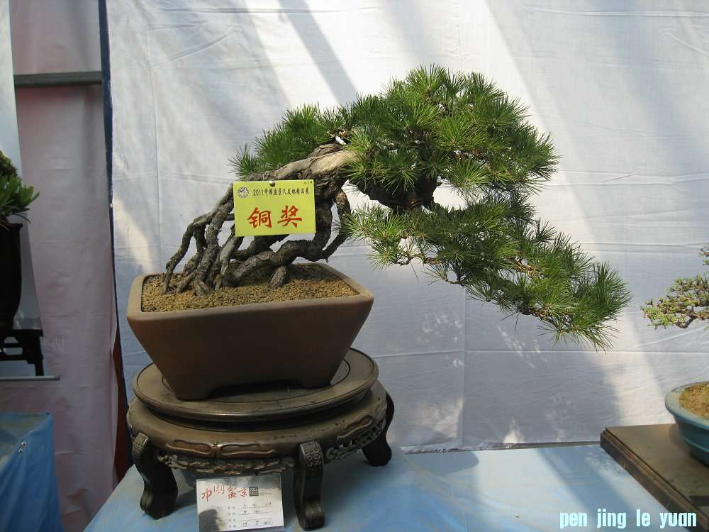 Ƭ 011.jpg