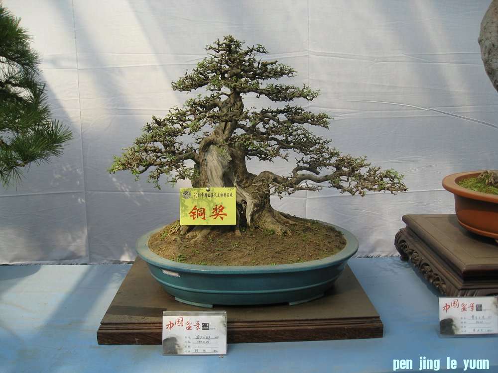 Ƭ 012.jpg