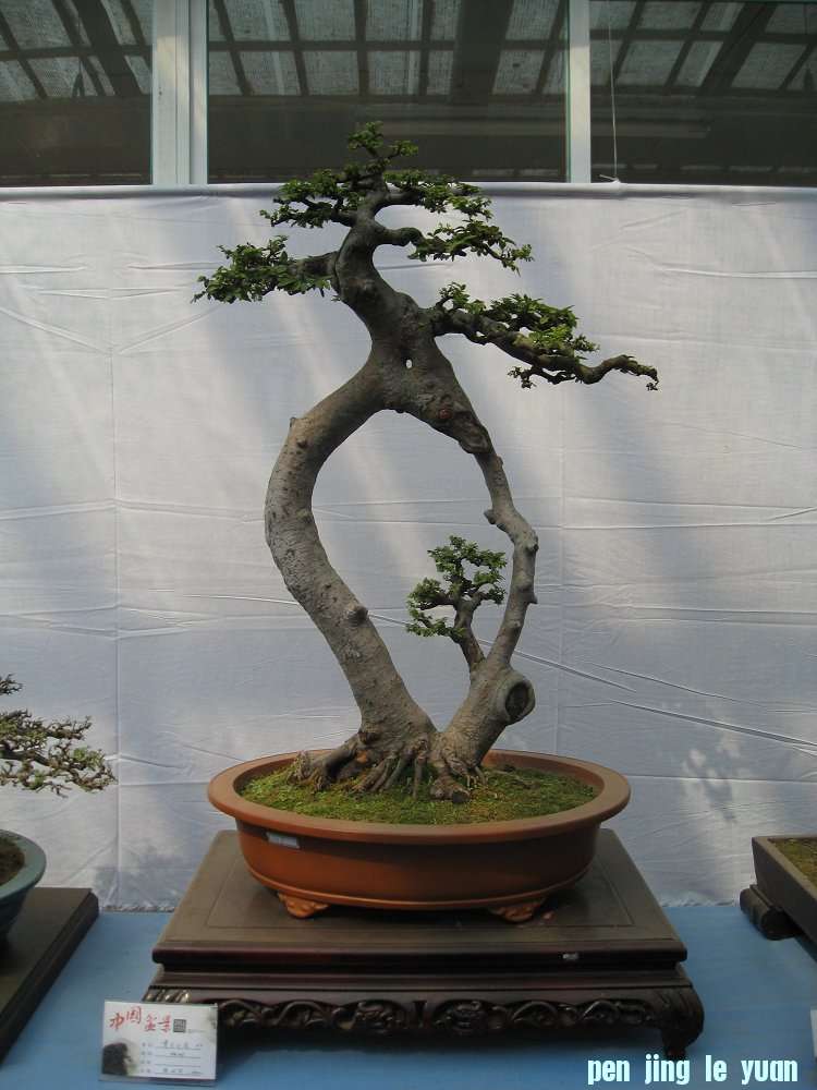 Ƭ 013.jpg