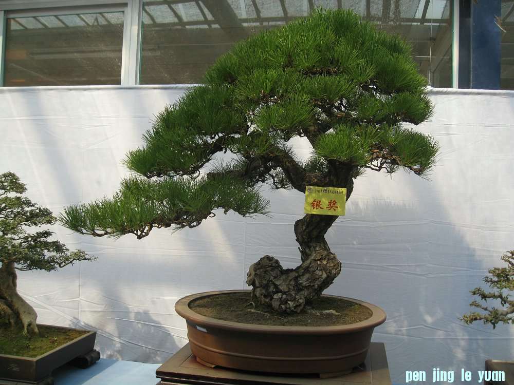 Ƭ 015.jpg