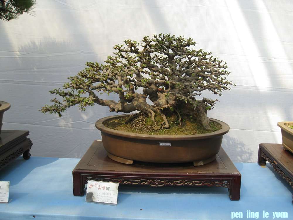 Ƭ 016.jpg