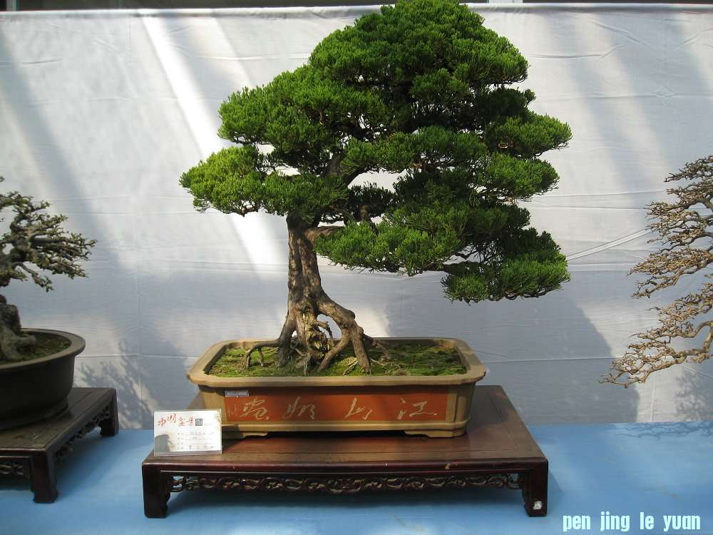 Ƭ 017.jpg