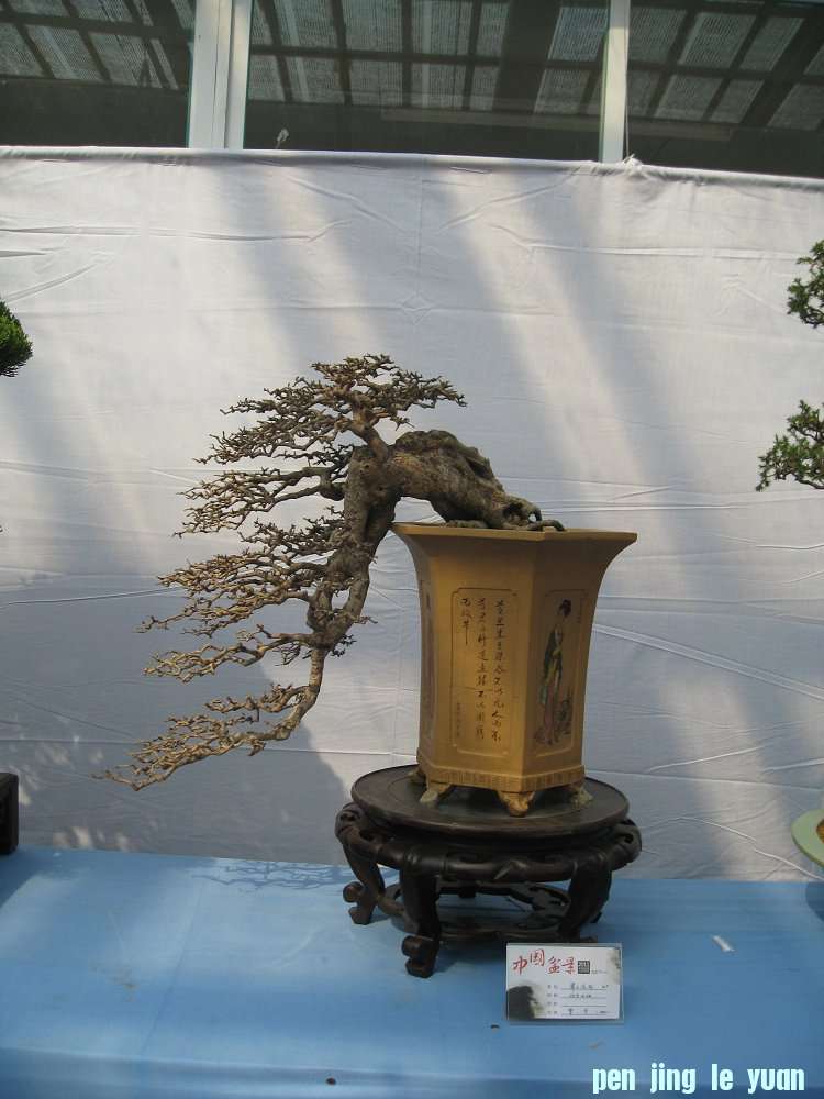 Ƭ 018.jpg