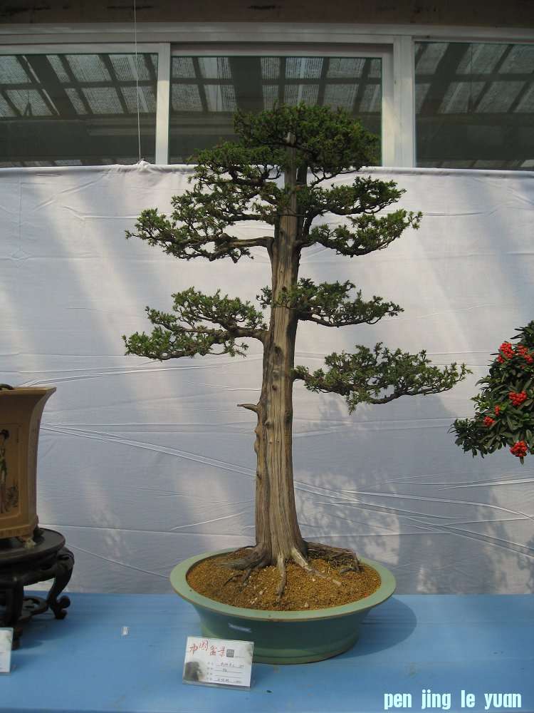 Ƭ 019.jpg