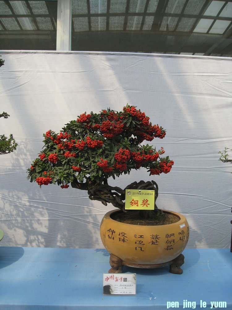 Ƭ 020.jpg