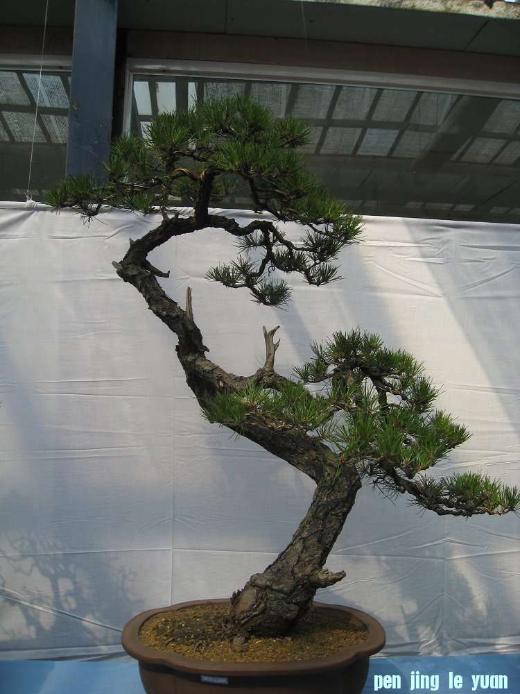 Ƭ 022.jpg