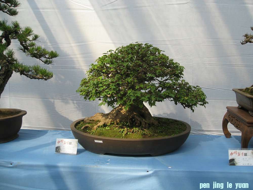 Ƭ 023.jpg