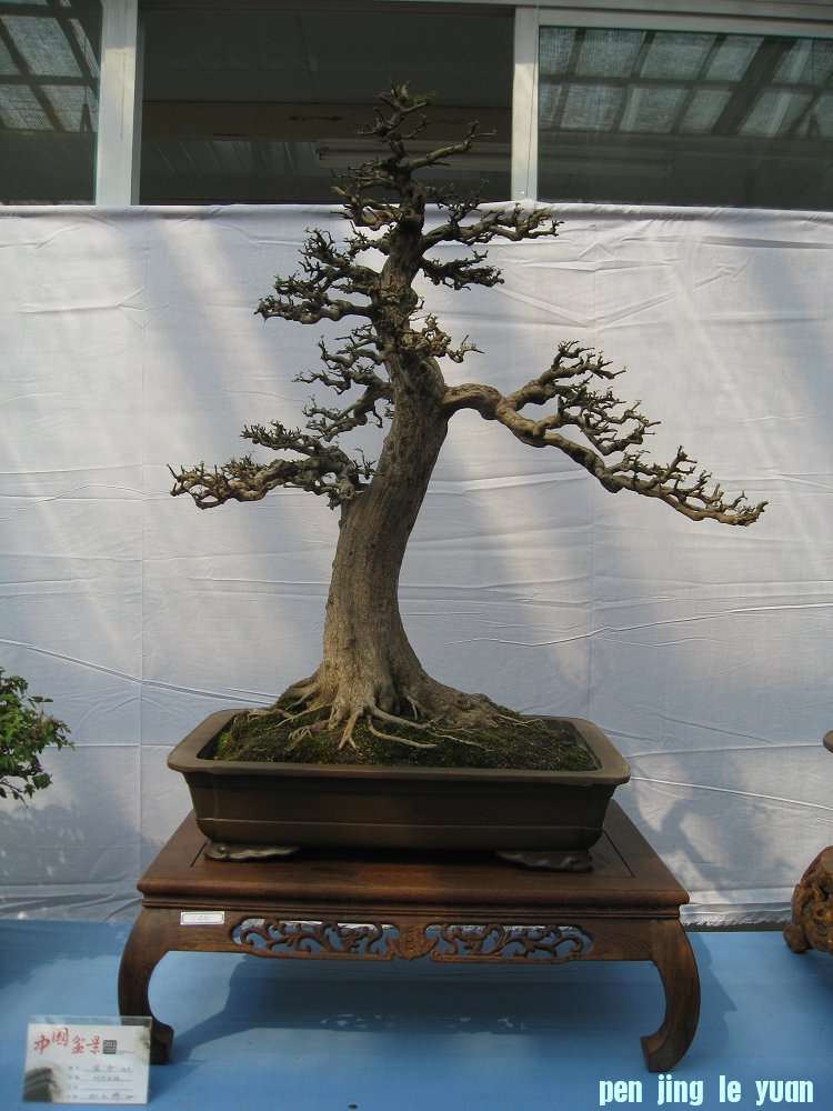 Ƭ 024.jpg
