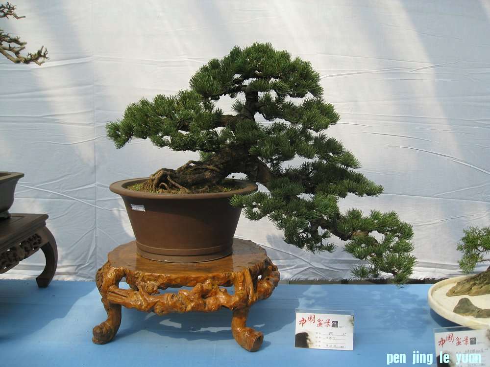Ƭ 025.jpg