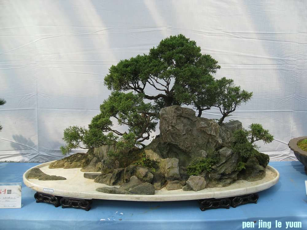 Ƭ 026.jpg