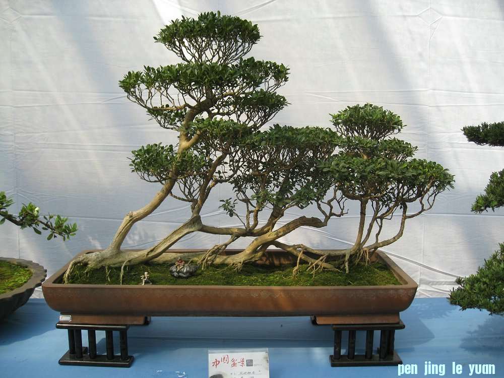 Ƭ 028.jpg