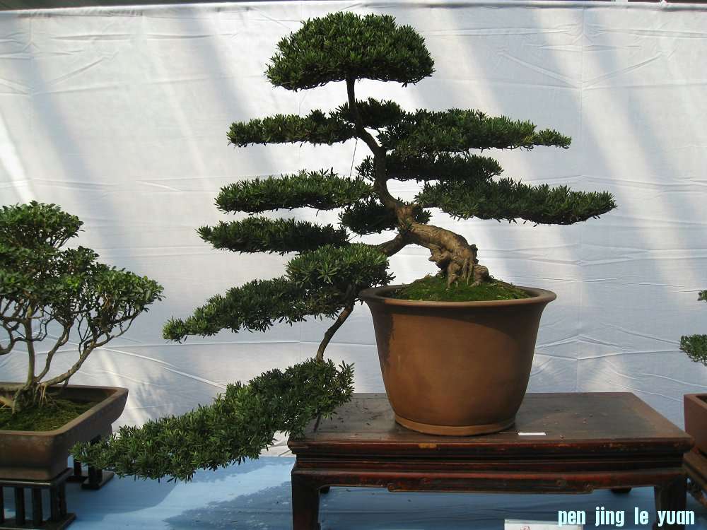 Ƭ 029.jpg