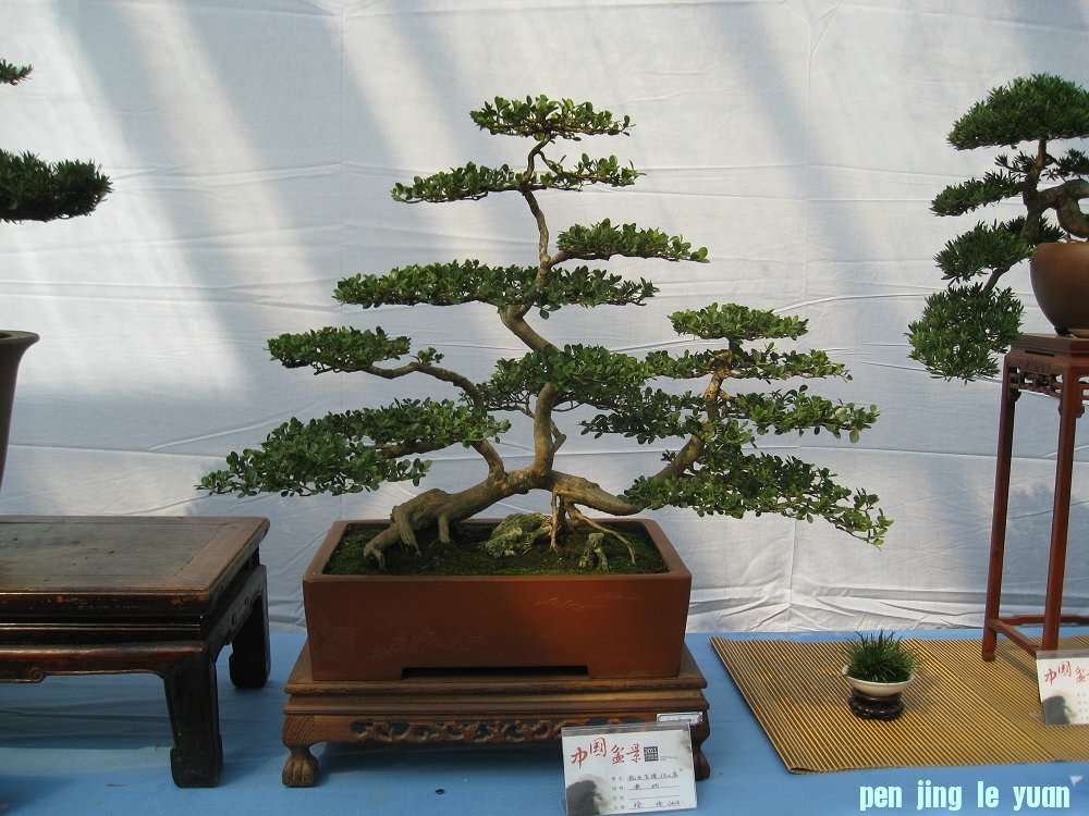 Ƭ 030.jpg