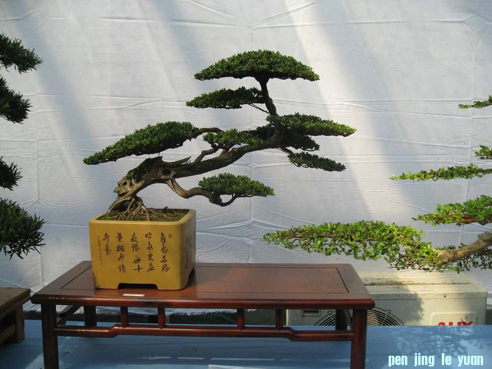 Ƭ 031.jpg