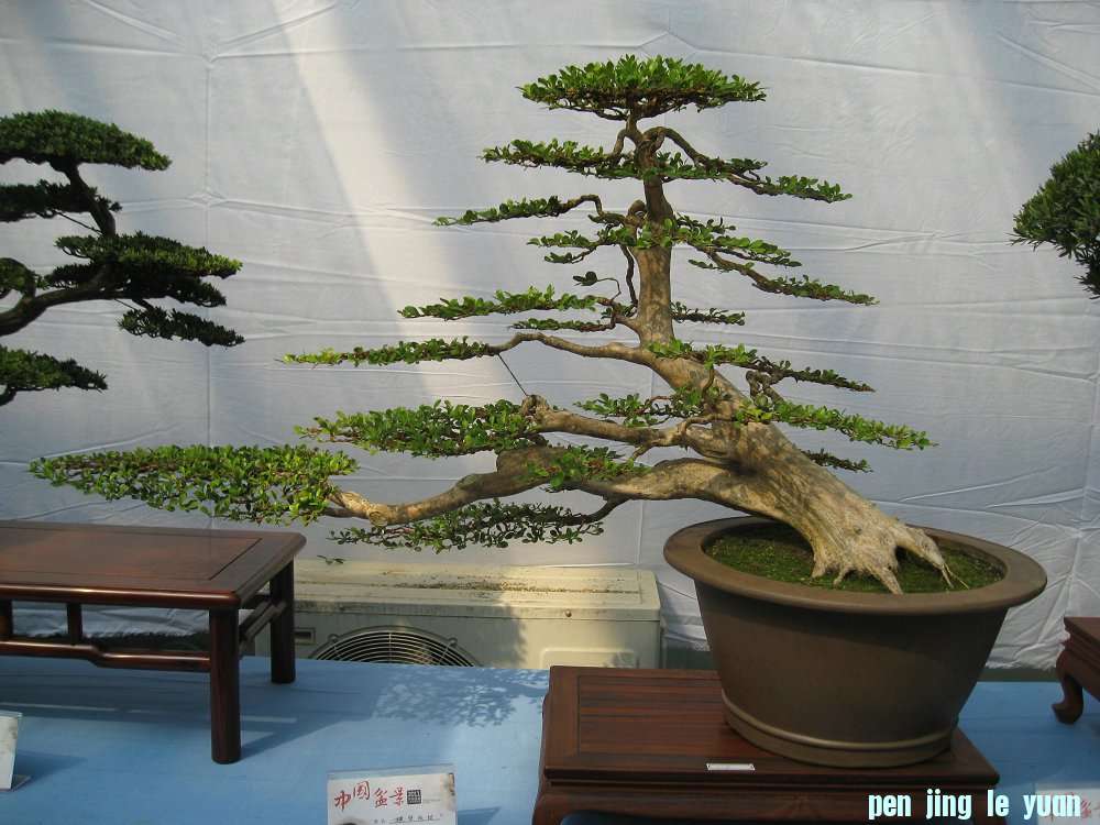 Ƭ 032.jpg