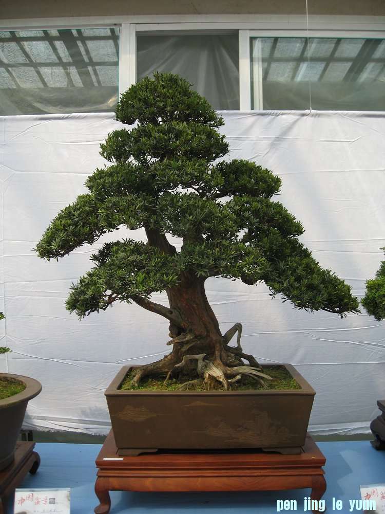 Ƭ 033.jpg