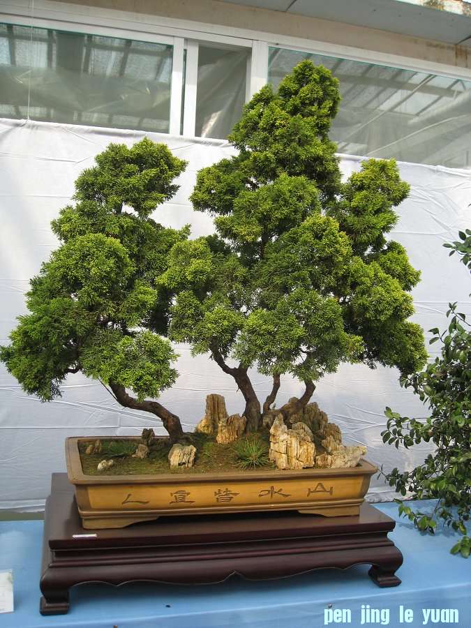 Ƭ 034.jpg