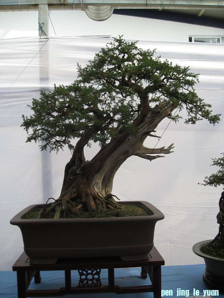 Ƭ 038.jpg