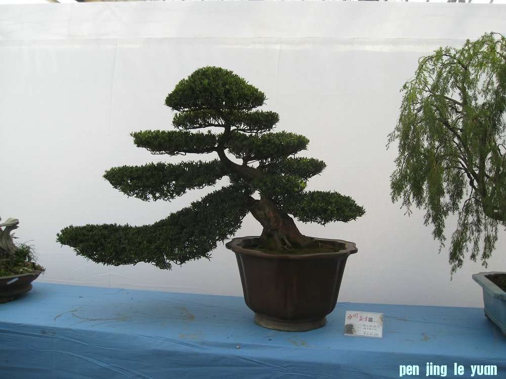 Ƭ 040.jpg