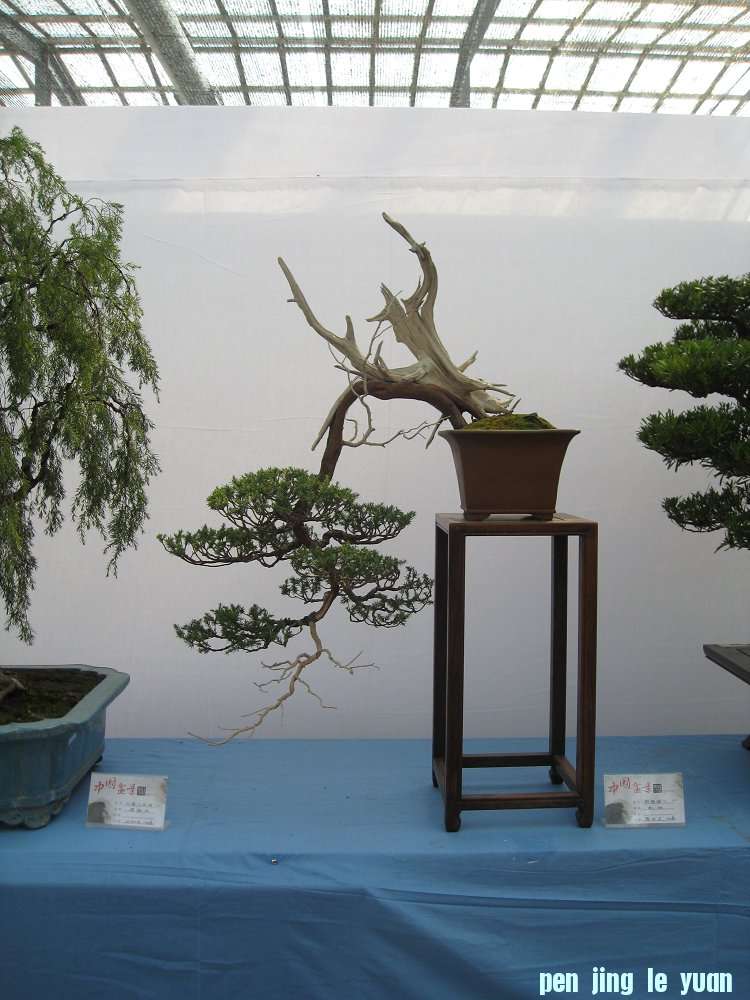 Ƭ 043.jpg