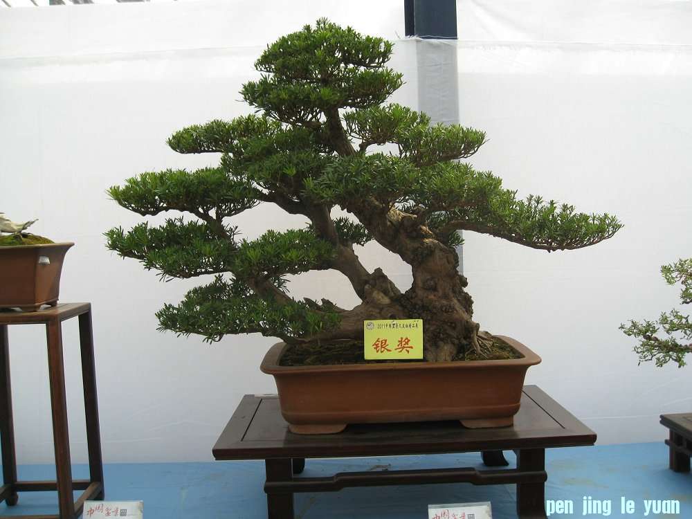 Ƭ 044.jpg