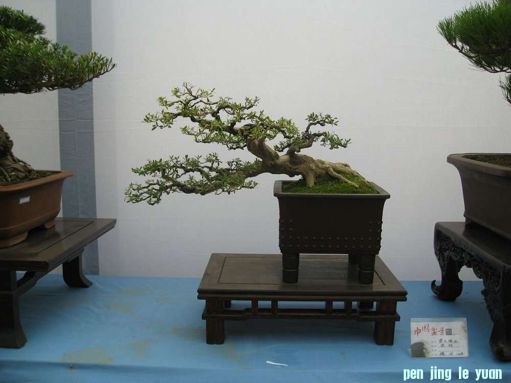 Ƭ 045.jpg