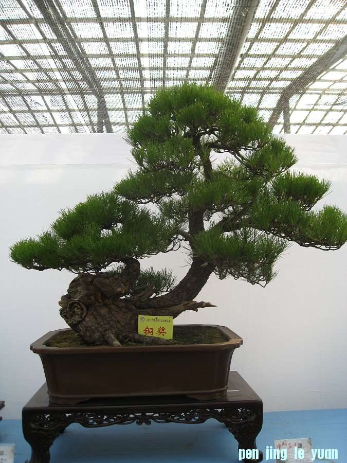 Ƭ 046.jpg