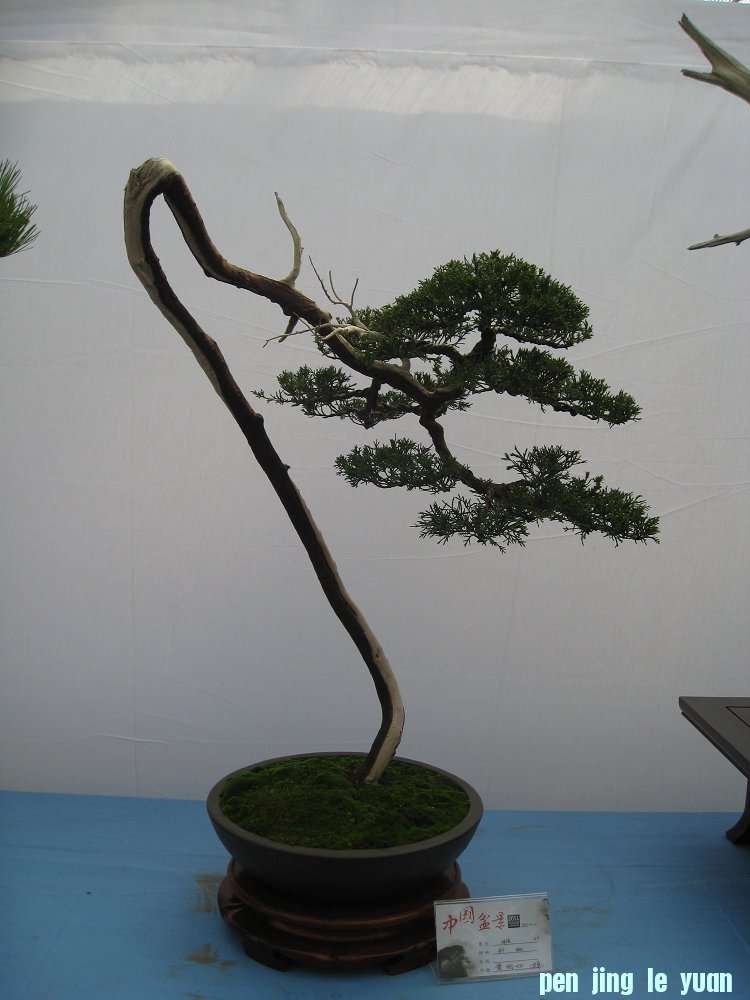 Ƭ 047.jpg