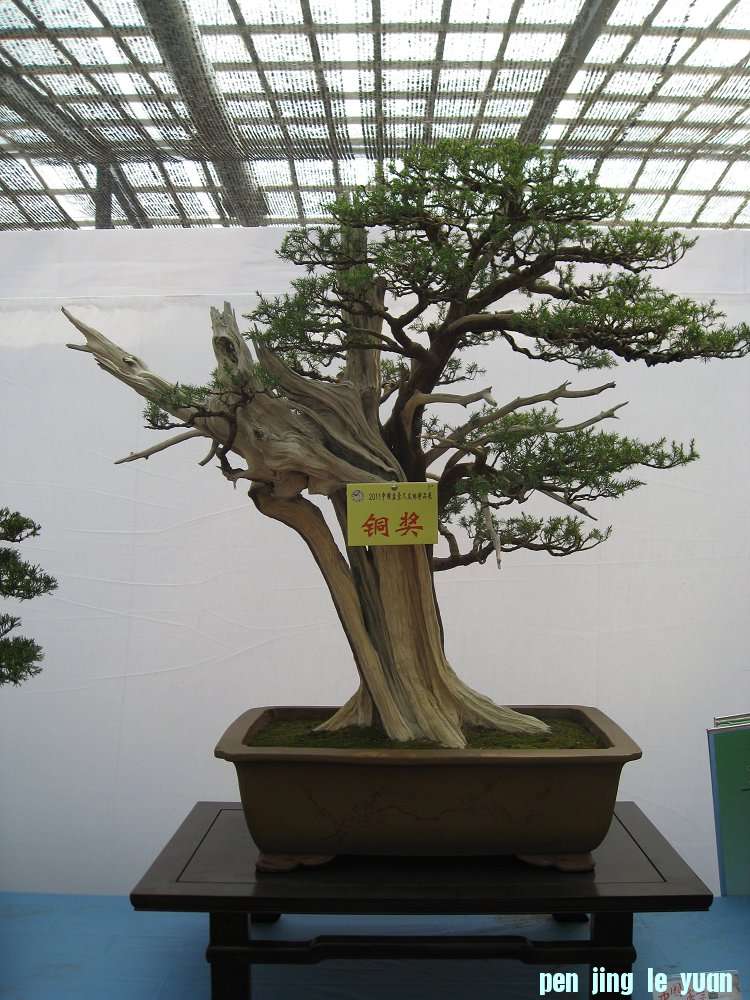 Ƭ 048.jpg