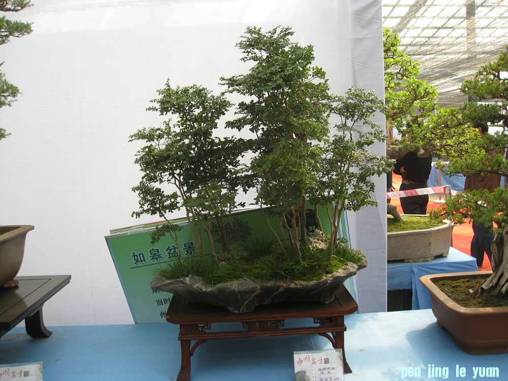 Ƭ 049.jpg