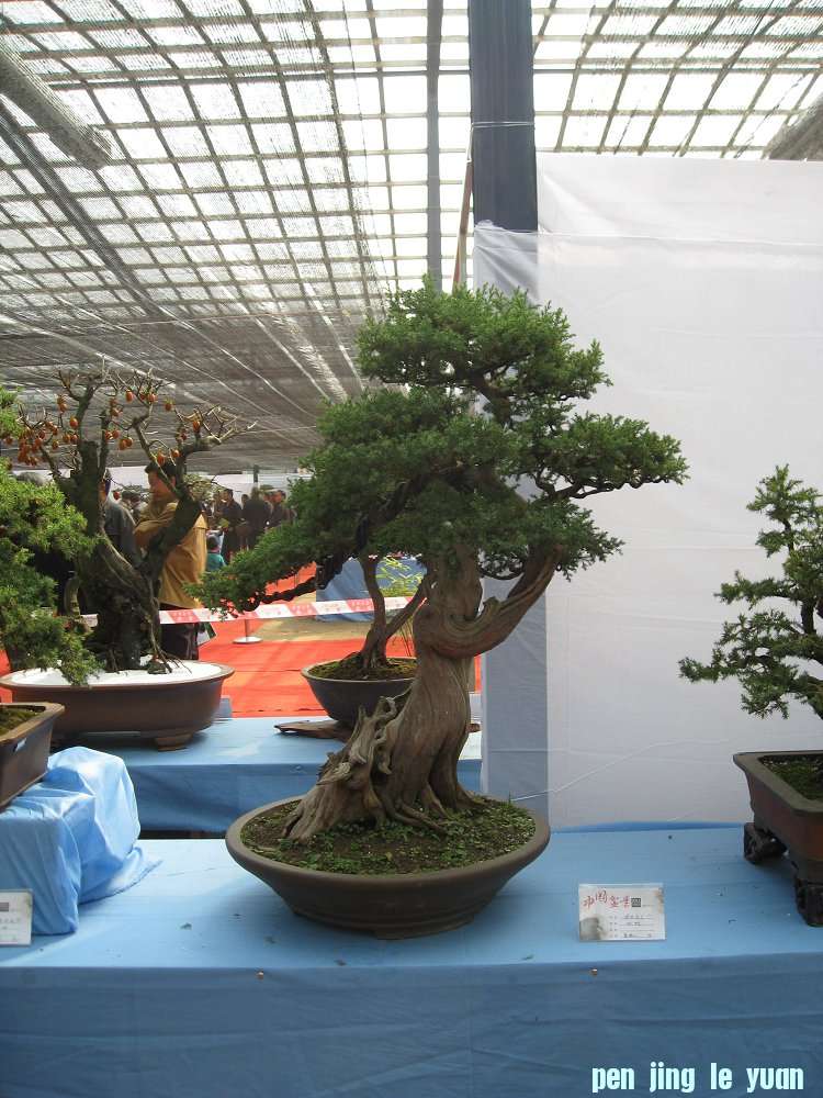 Ƭ 052.jpg