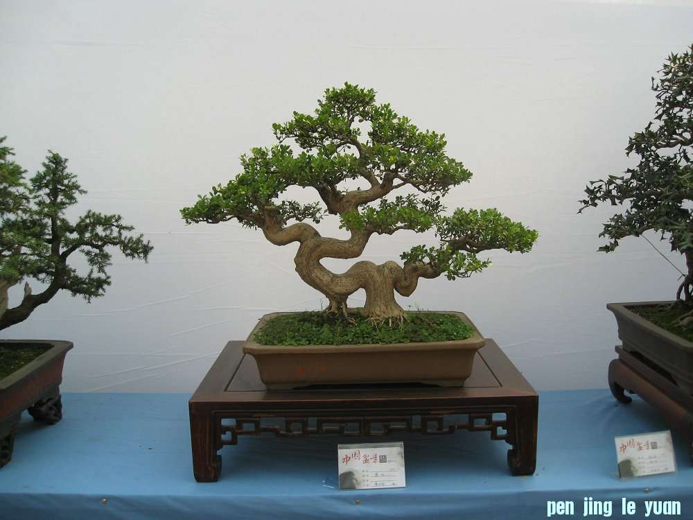 Ƭ 054.jpg