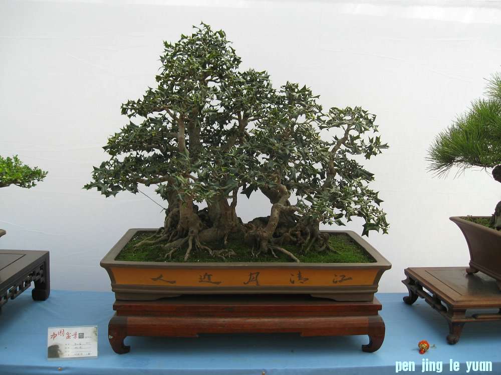Ƭ 055.jpg