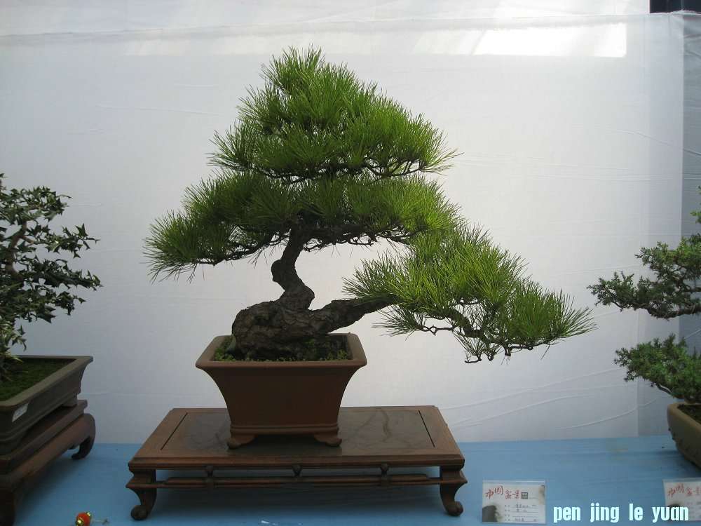 Ƭ 056.jpg