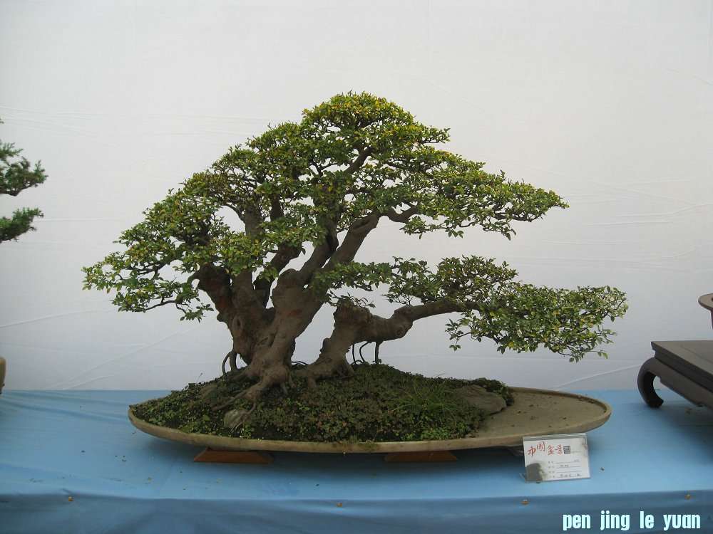 Ƭ 058.jpg