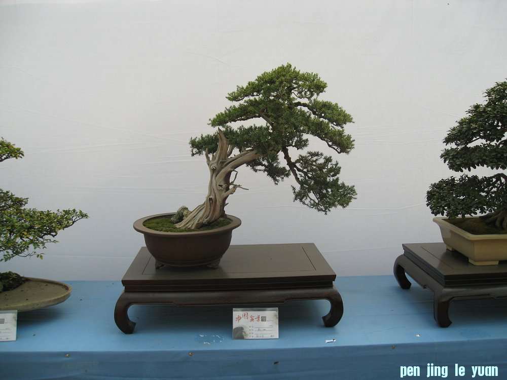 Ƭ 059.jpg