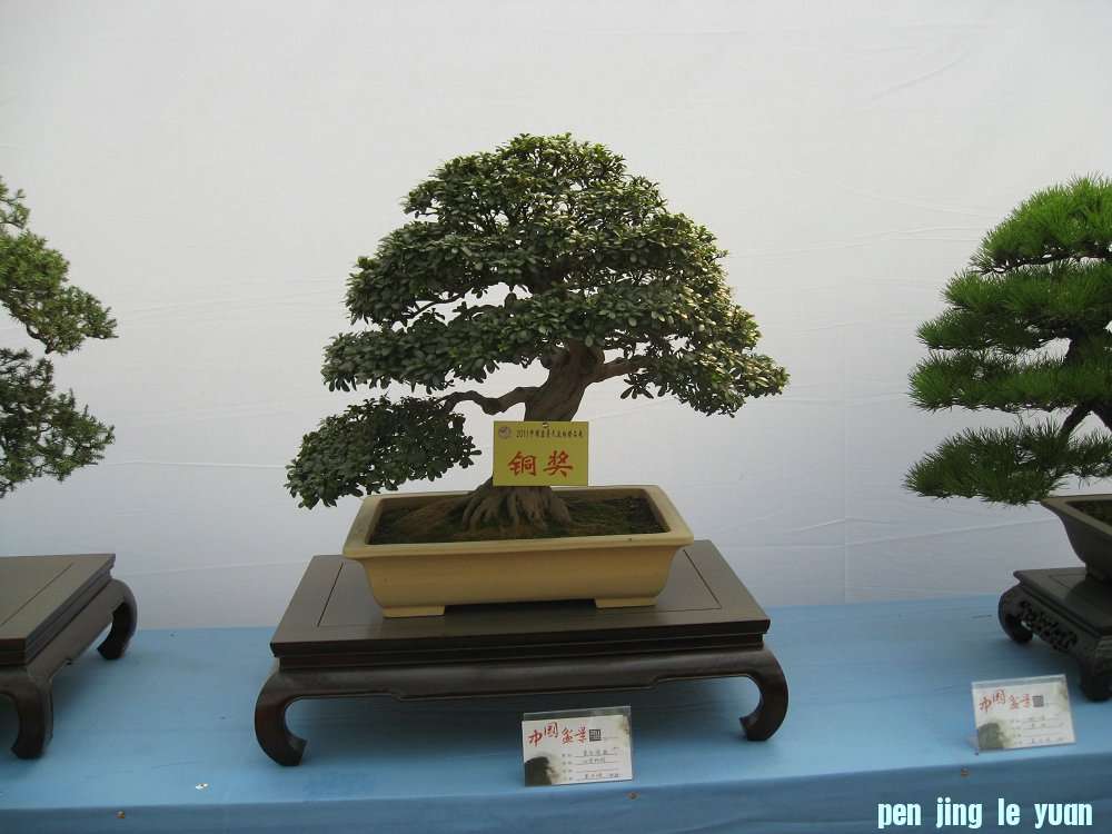 Ƭ 060.jpg