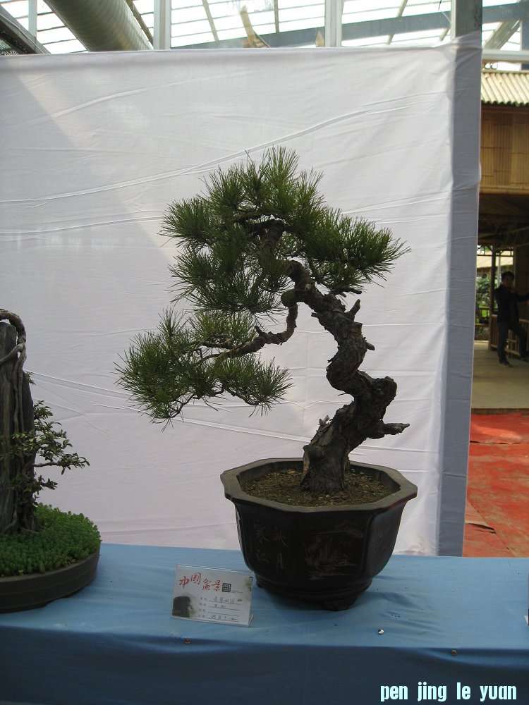 Ƭ 062.jpg