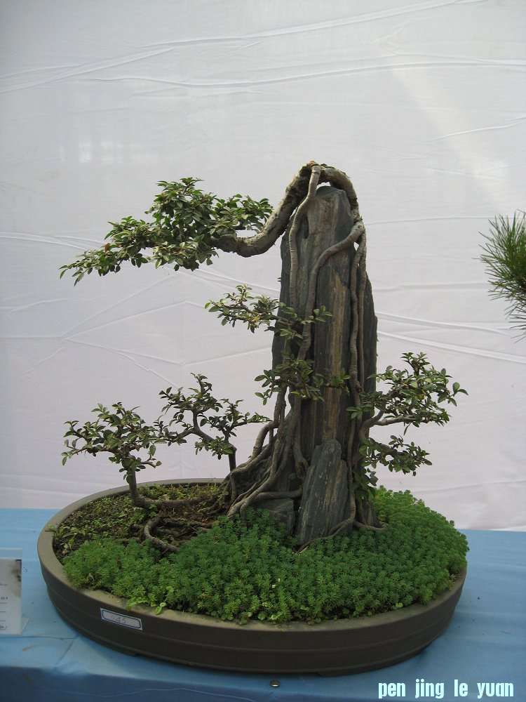 Ƭ 064.jpg