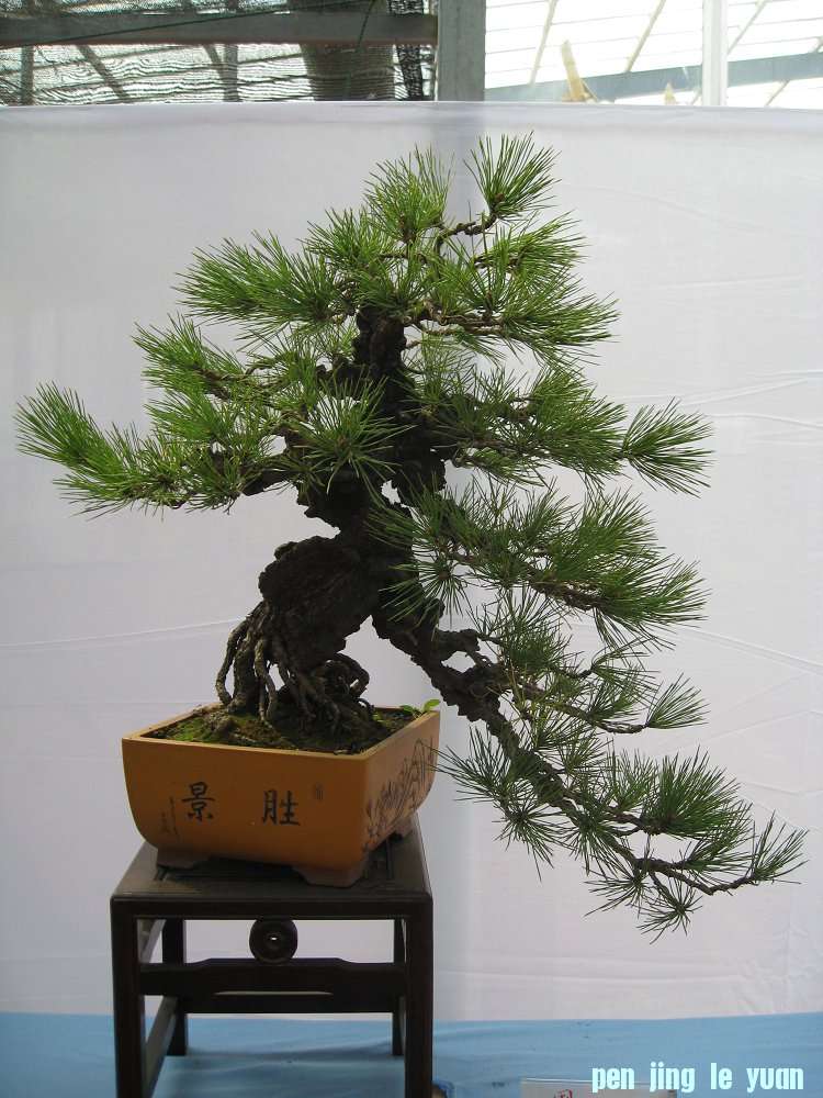 Ƭ 065.jpg