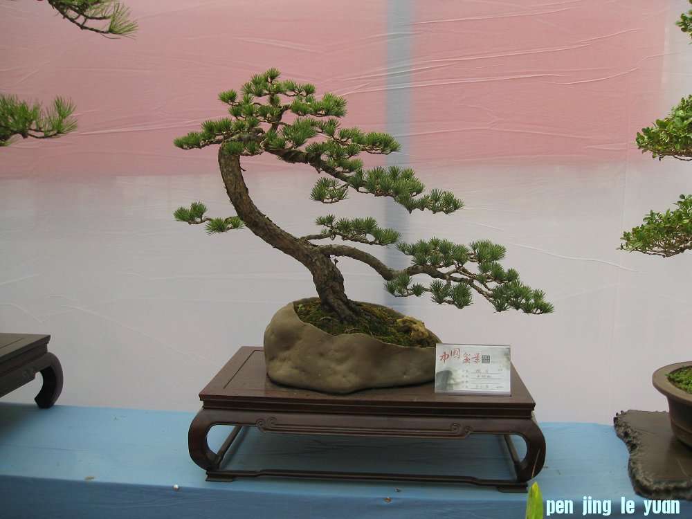 Ƭ 067.jpg
